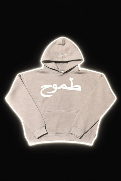 Ambition I طموح Grey Hoodie